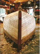 Shamrock avant les finitions